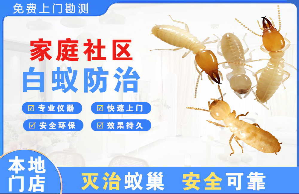 苏州家庭社区白蚁防治