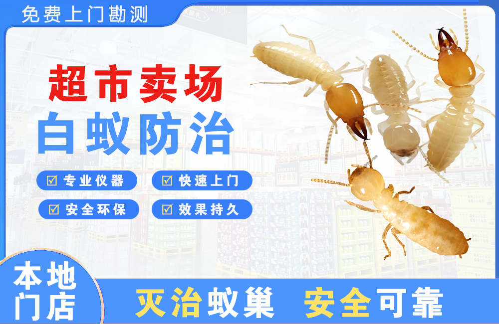 苏州超市卖场白蚁防治