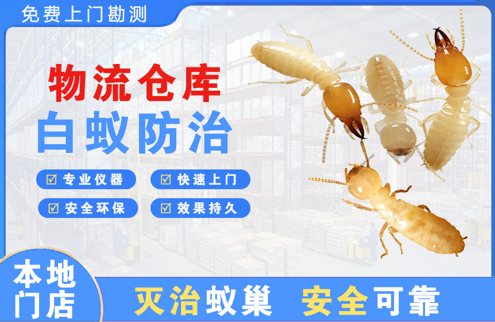 苏州物流仓库白蚁防治