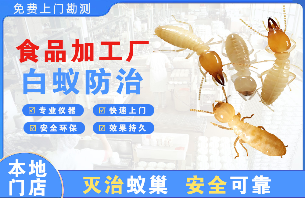 苏州食品加工厂白蚁防治