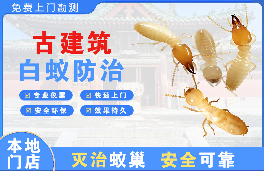 苏州古建筑白蚁防治
