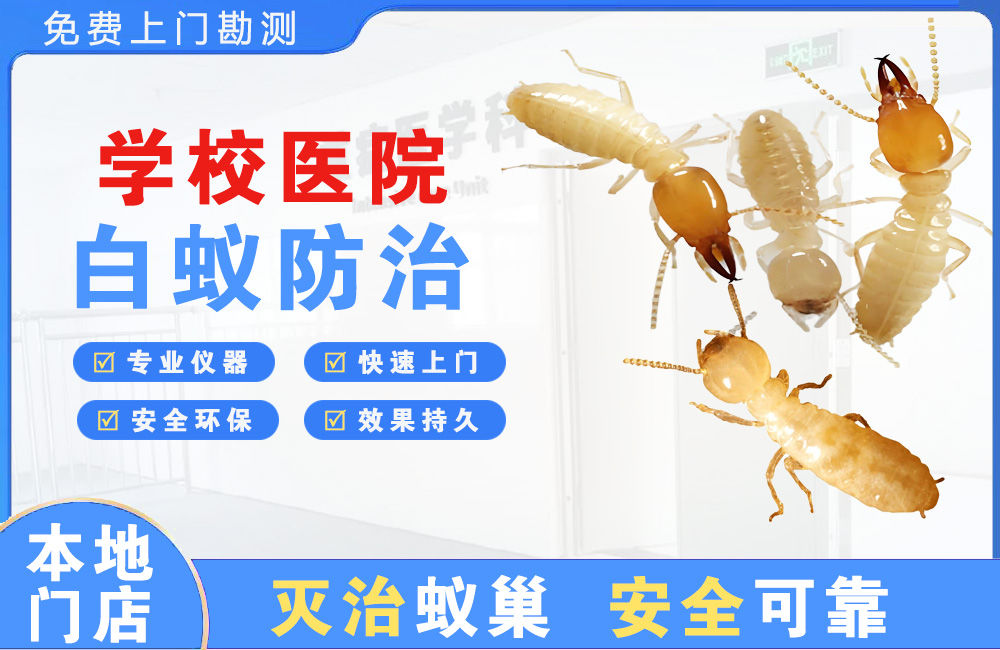 苏州学校医院白蚁防治