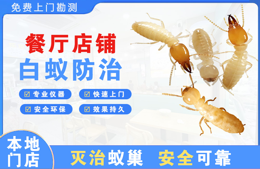 苏州餐厅店铺白蚁防治